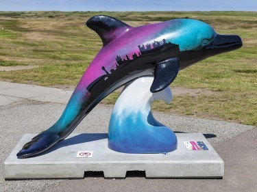 Wild Dolphin: Northern Lights