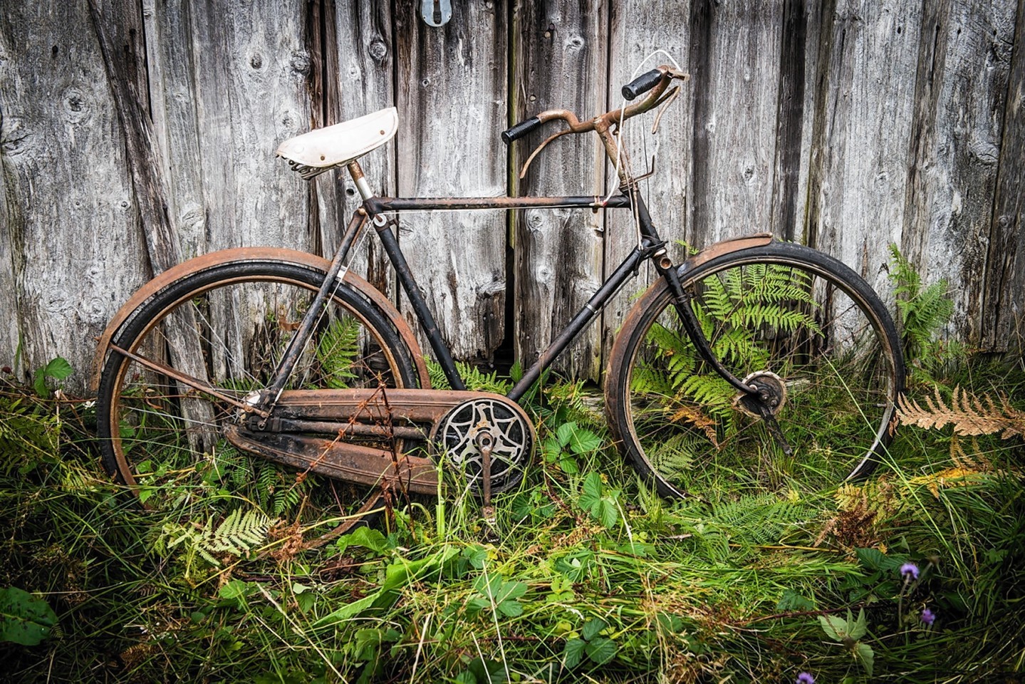 GLen Etive bike