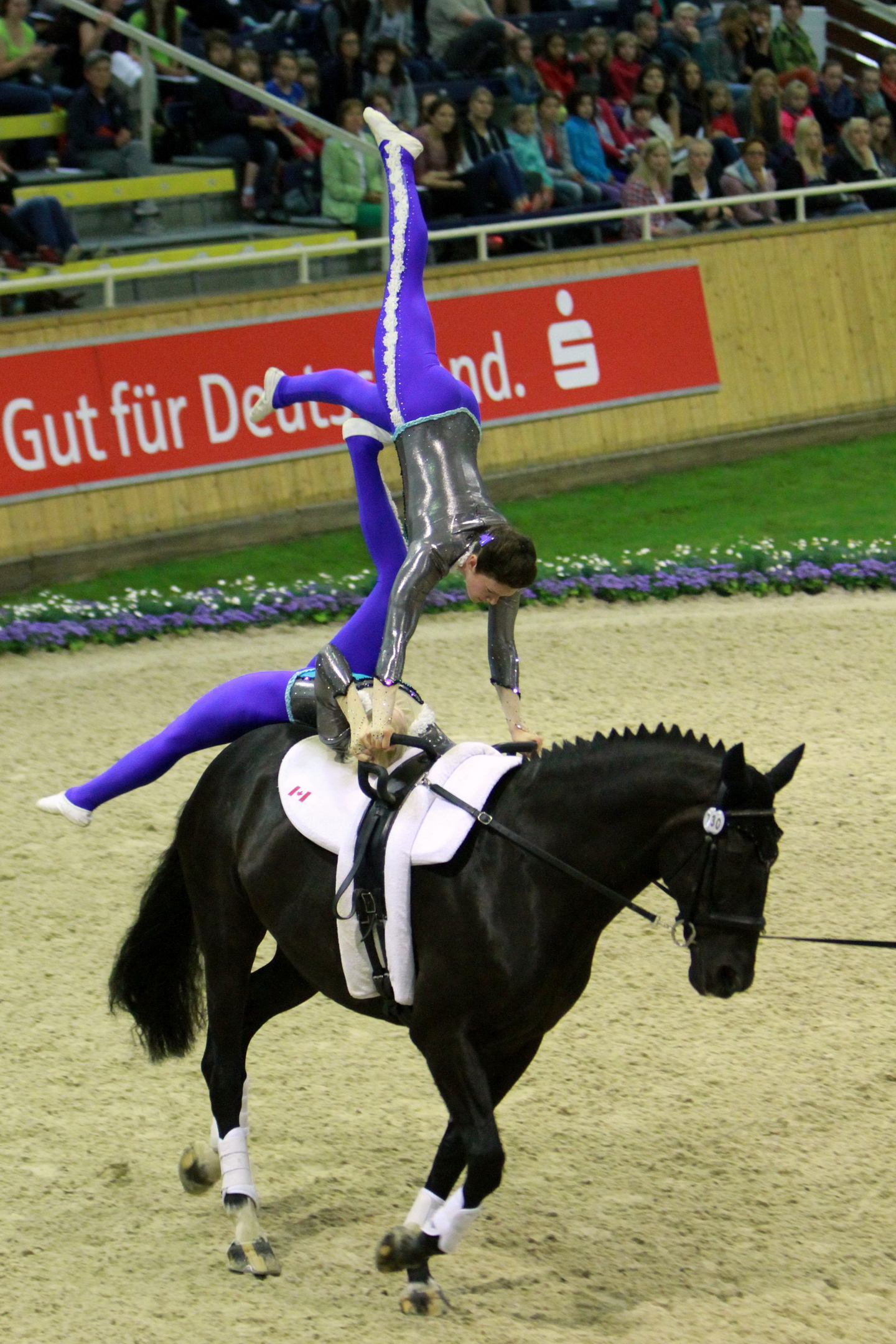 Islay in action in Aachen, Germany earlier this year