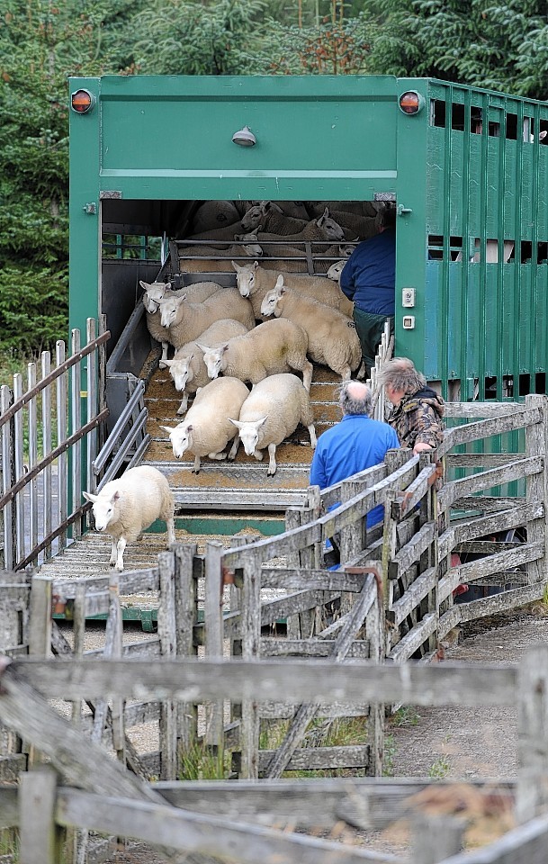 Farmers driving floats weighing more than 3.5tonnes must have completed CPC training