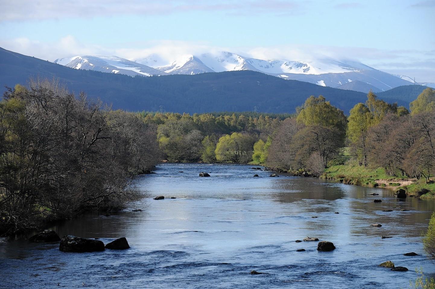 The angler was fishing in the River Spey