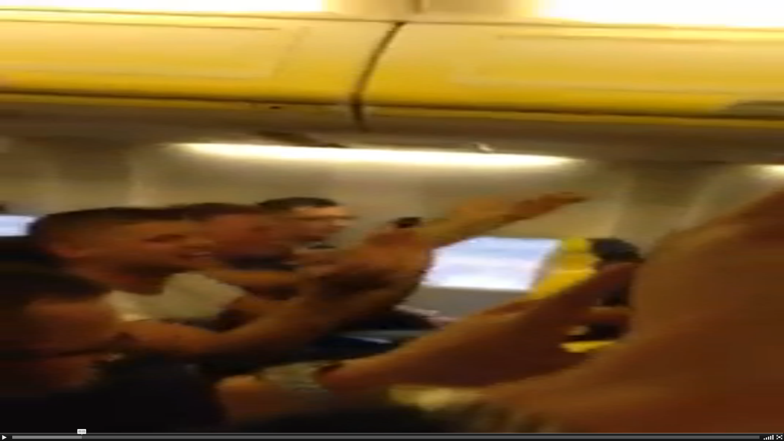 A screenshot of the footage from the Ryanair flight