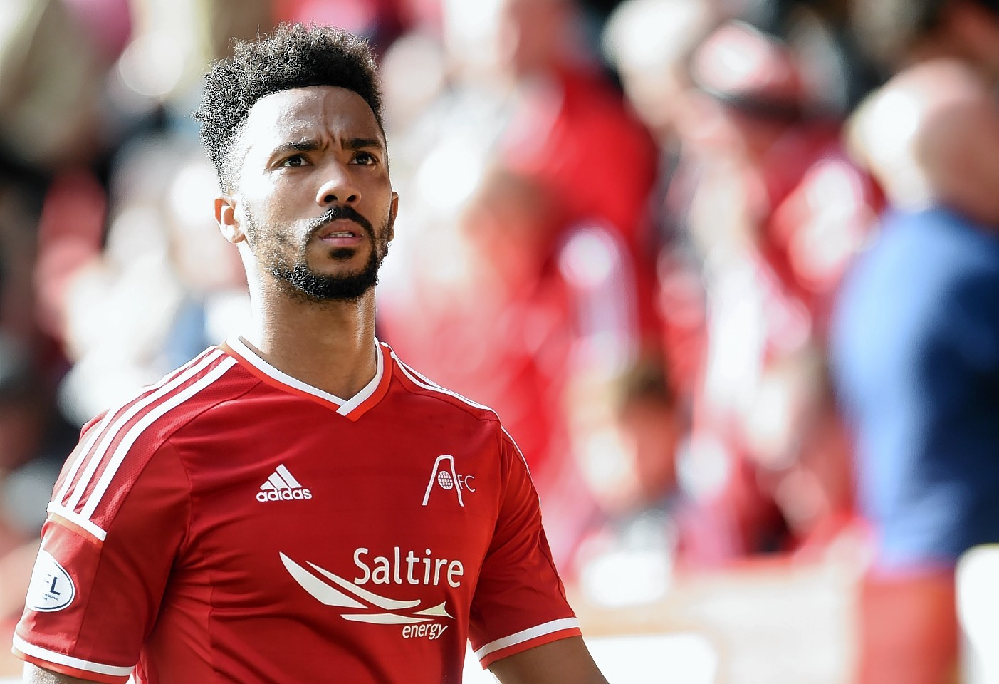 Shay Logan has enjoyed an action packed 12 months since joining the Dons