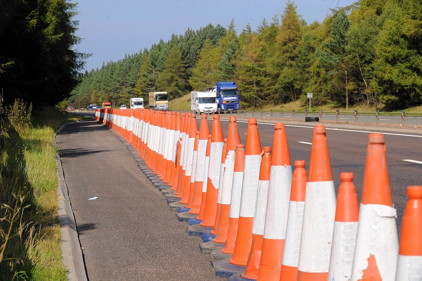 3,200 cones went missing in the last year