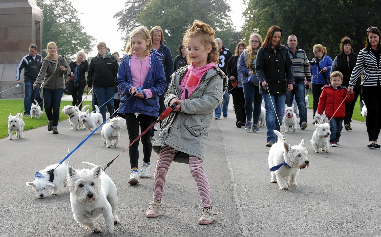 Westies in Duthie Park