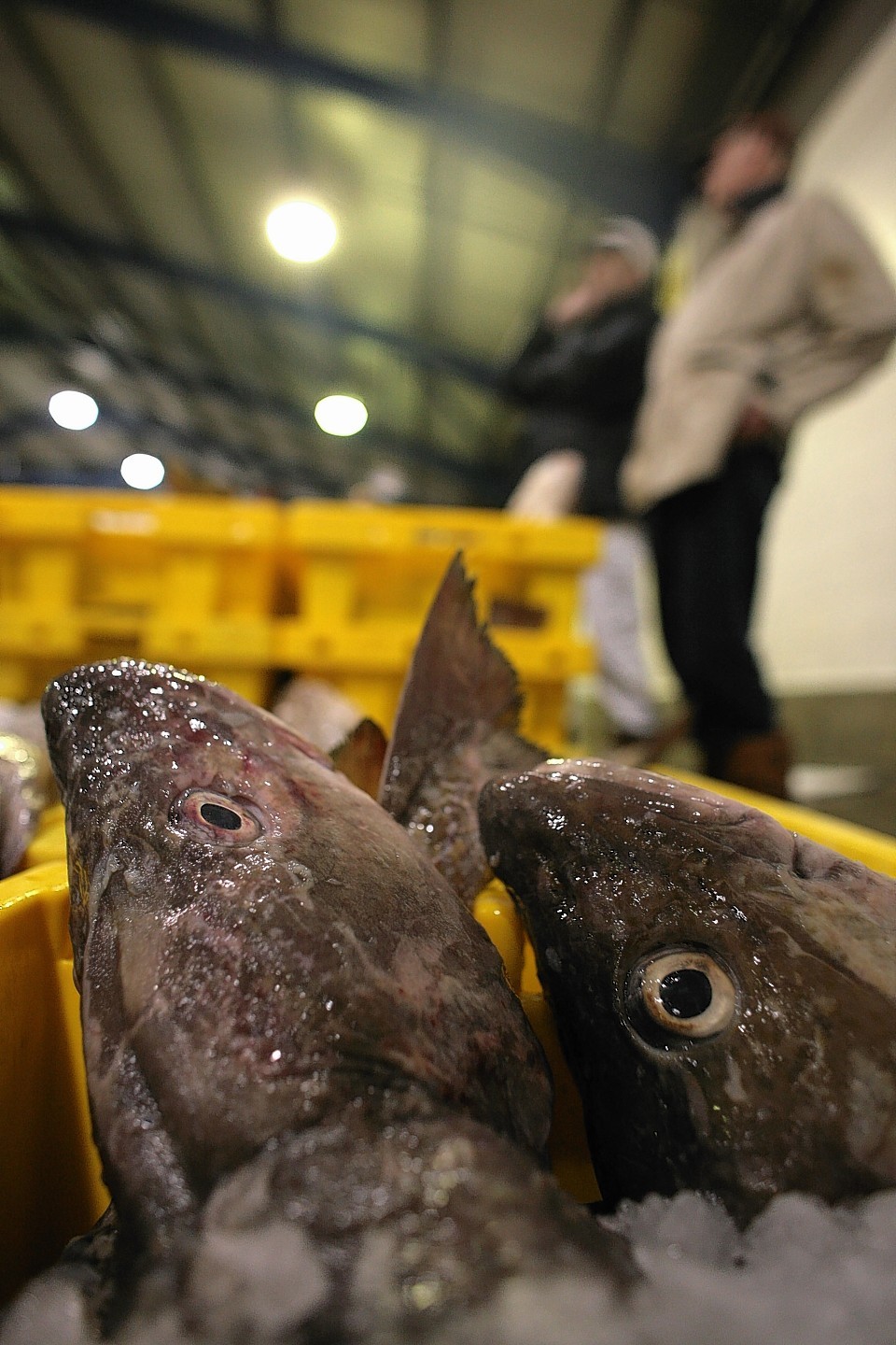 Worrying times for Scotland's fishing fleet