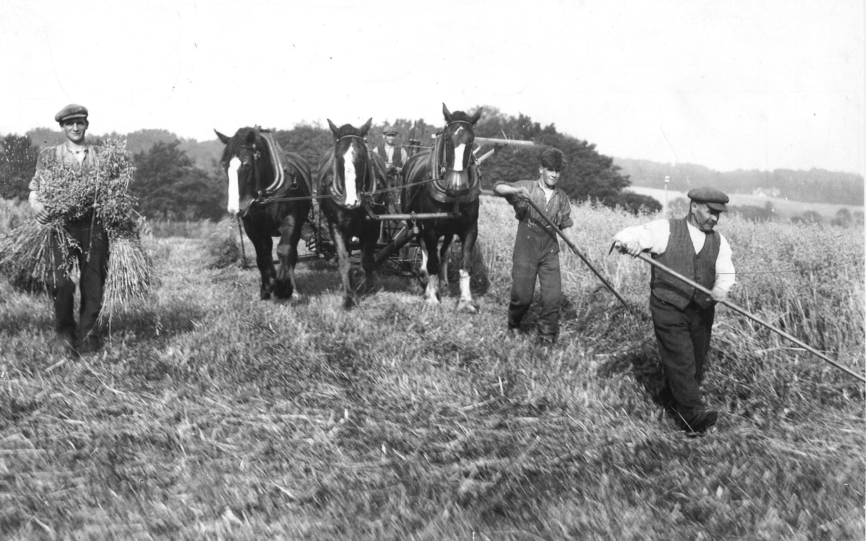 farming looking back 