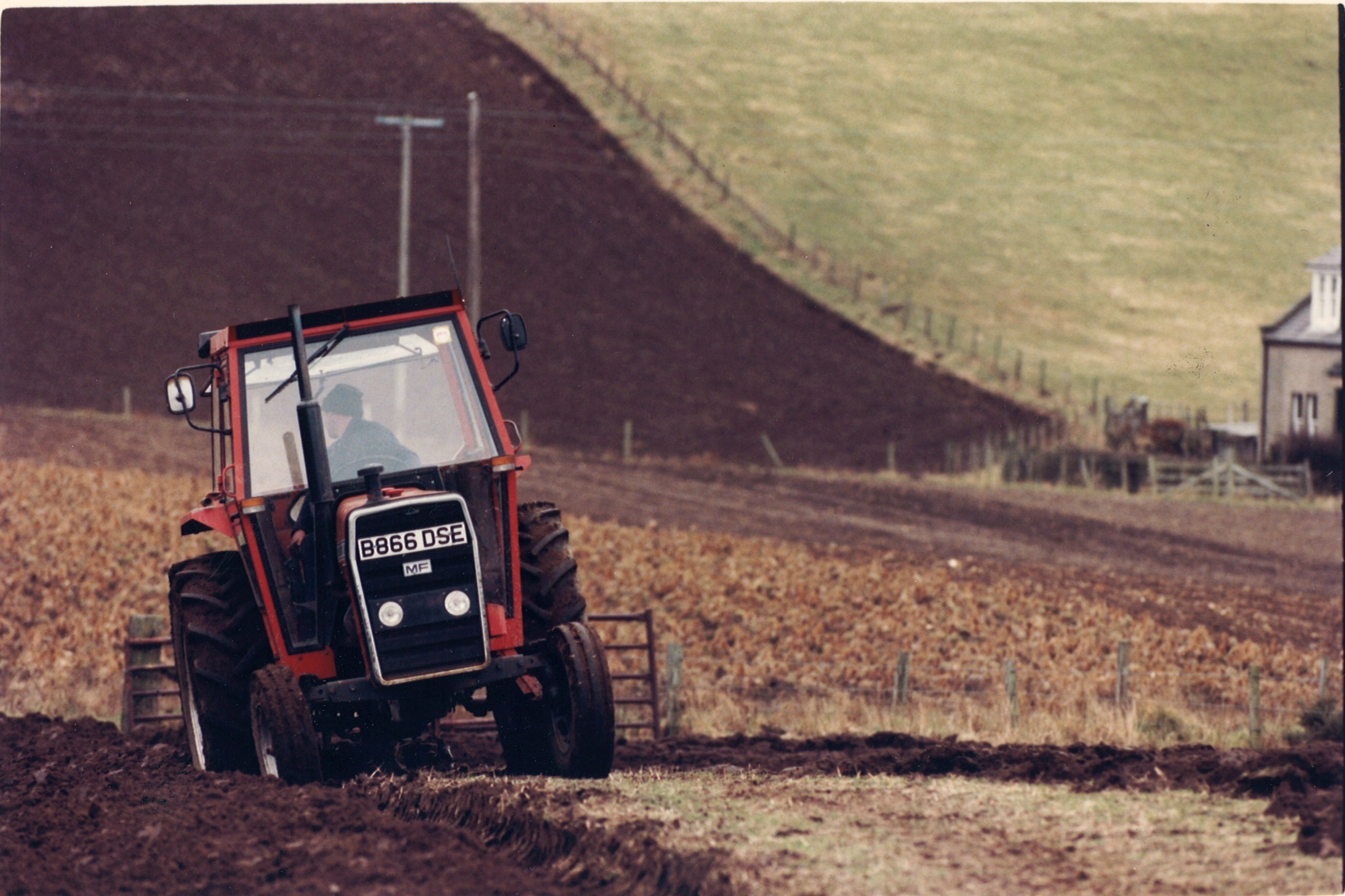 farming looking back 3 