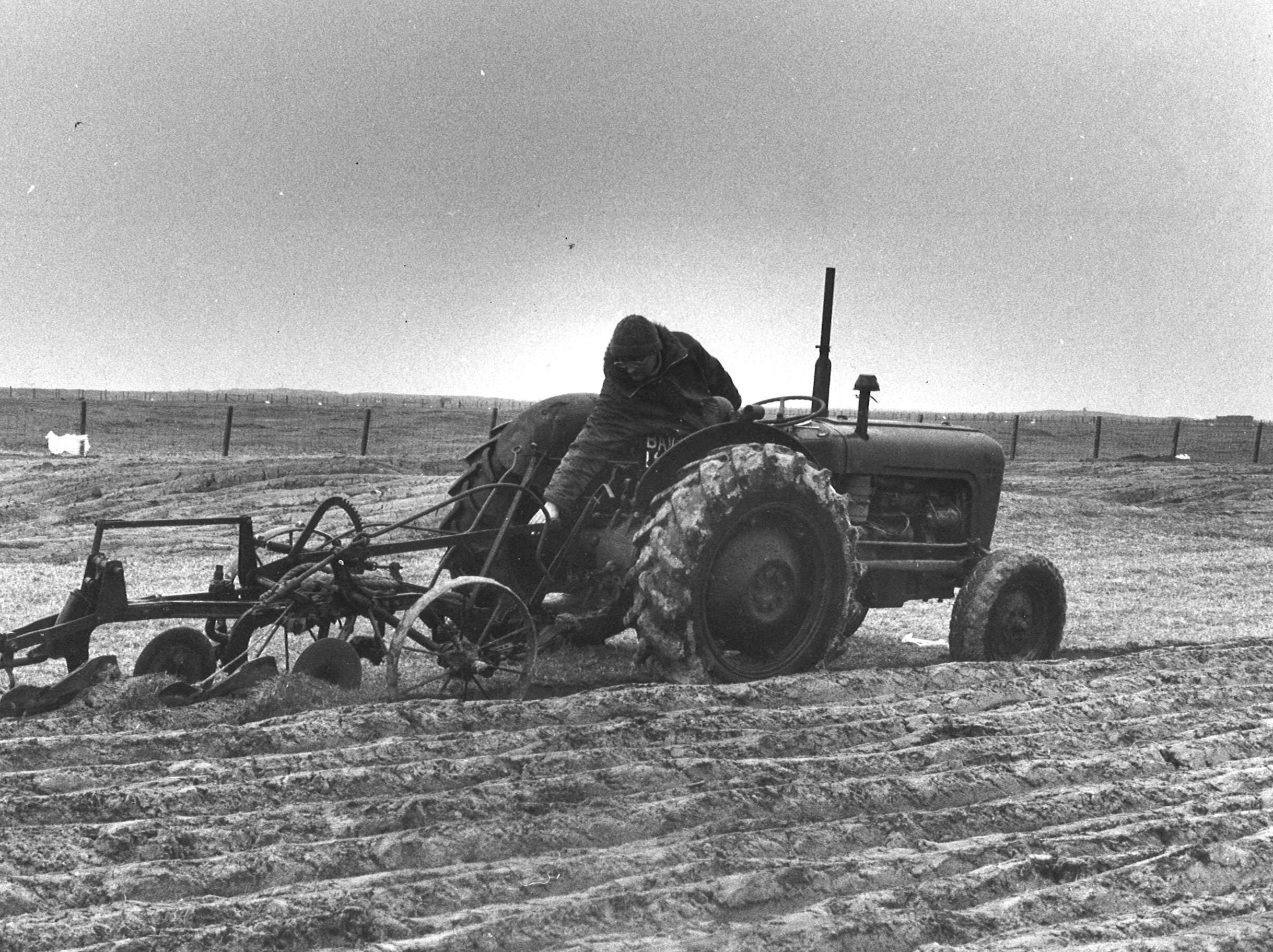 farming looking back 