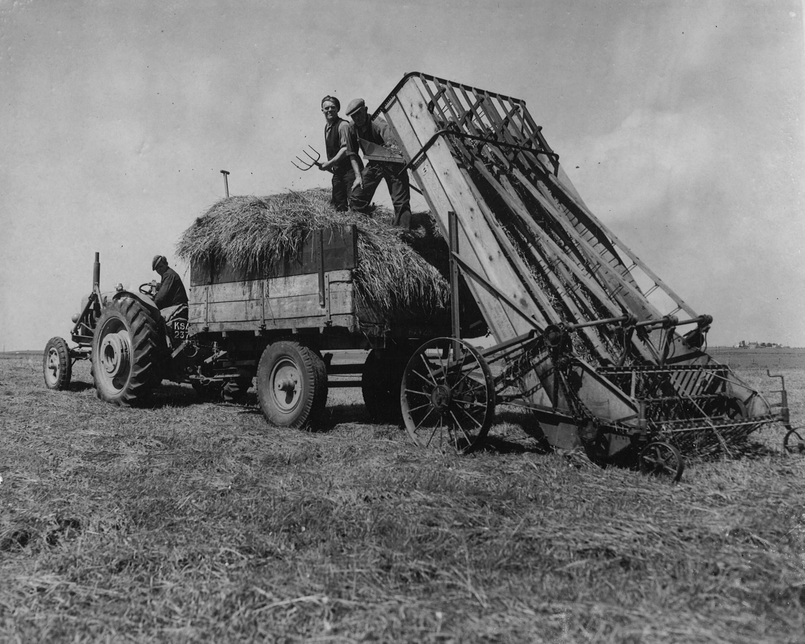 farming looking back