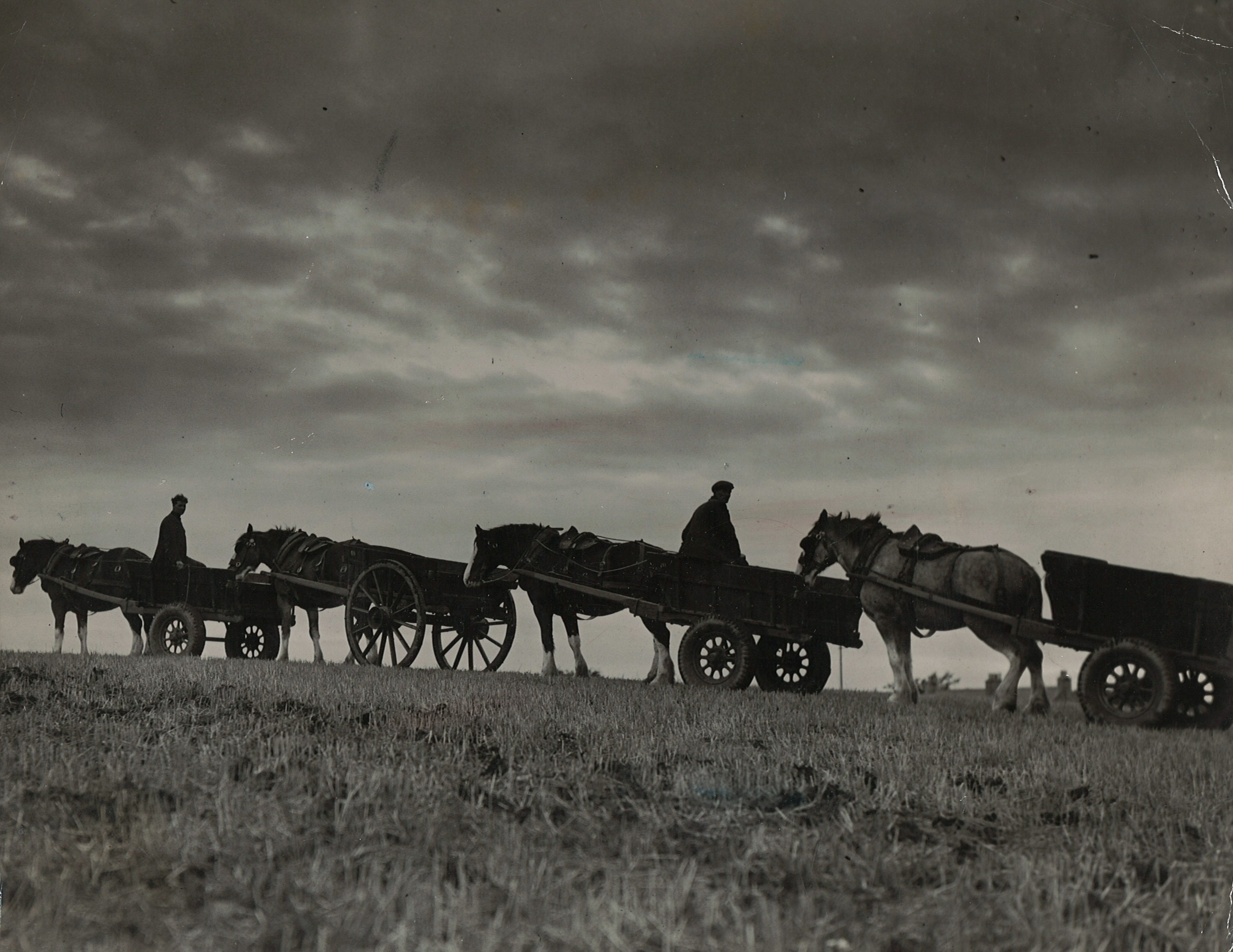 farming looking back 