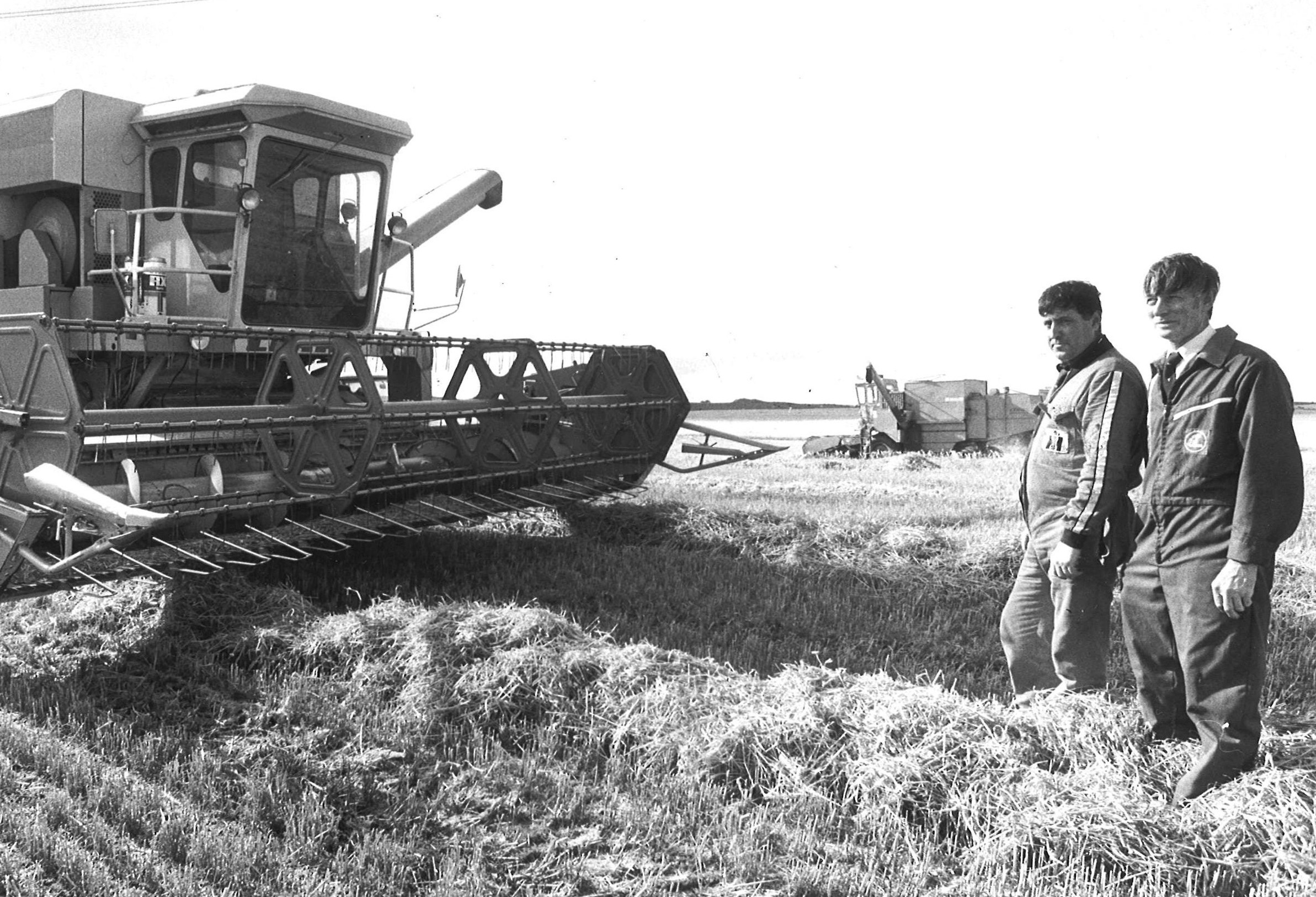 farming looking back 4 