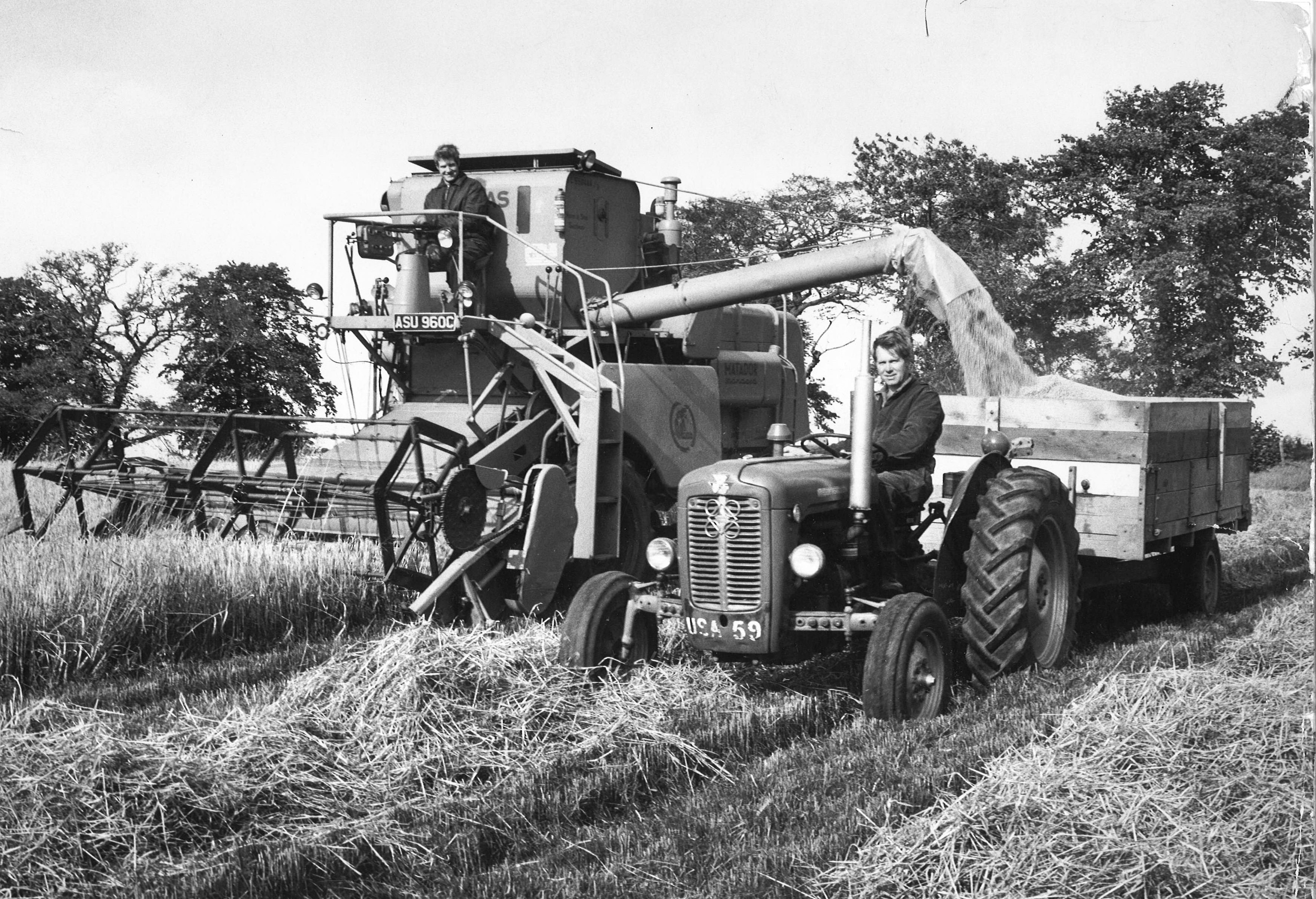 farming looking back 