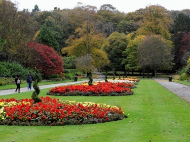 Aberdeen-in-bloom.jpg