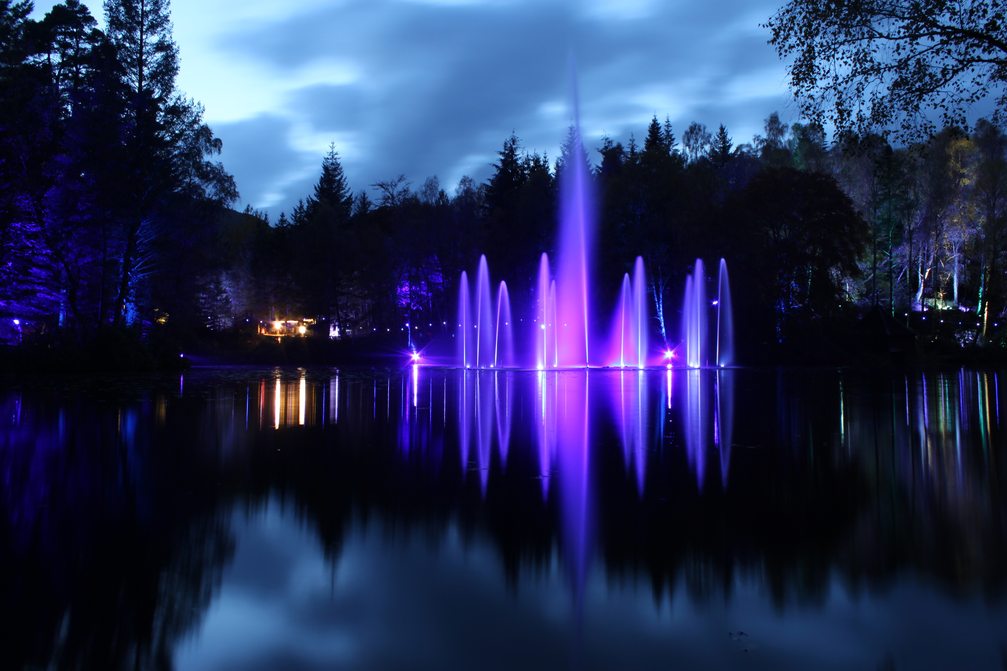 The Enchanted Forest light display. Picture by Laura McMillan