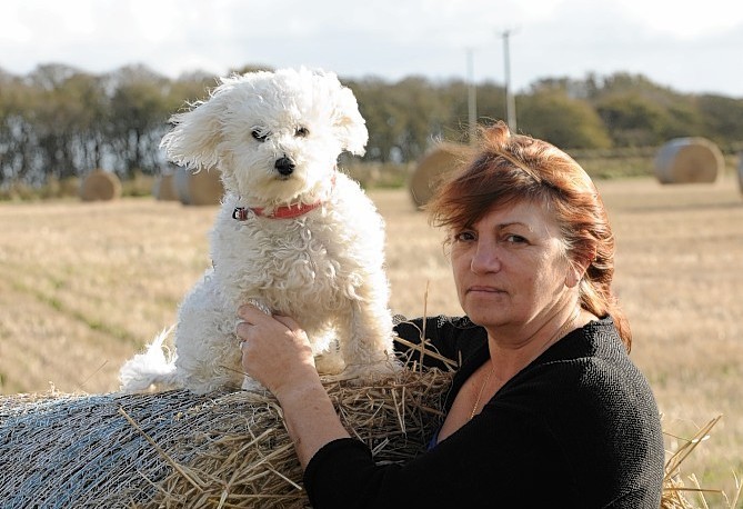 Jackie Dabell with her dog Mika, who have both been left heartbroken after beloved pooch Milo escaped.