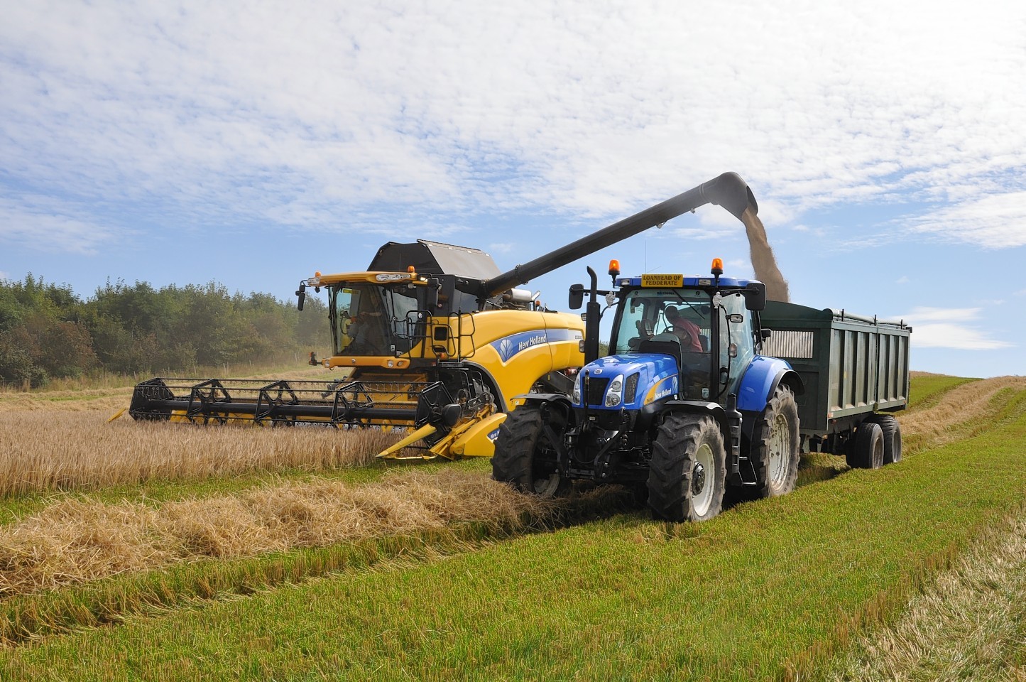 Farmers could find it more difficult to forward-sell grain