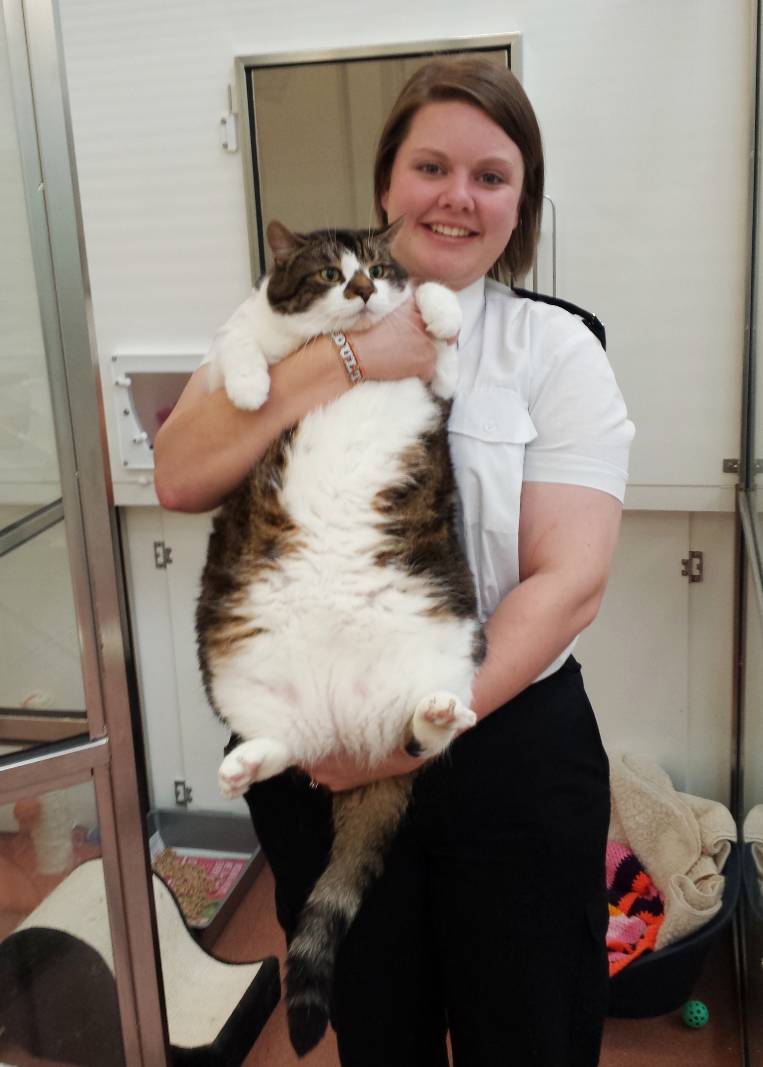Mr Pickles before the team at the Scottish SPCA's Drumoak centre put him on a strict diet
