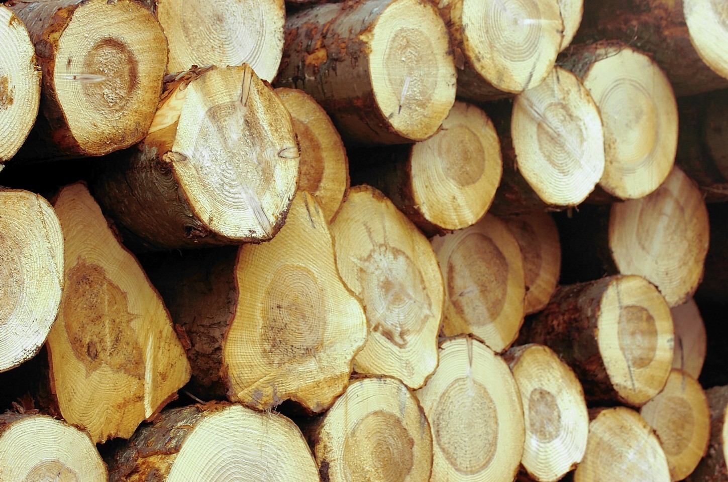 Scottish timber waiting to be transported