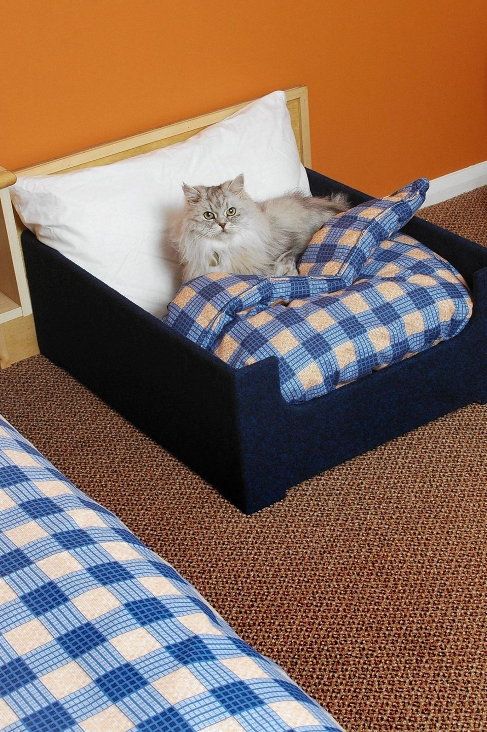 Travelodge introduced beds for pets but one customer was looking for more substantial kitty sleeping conditions