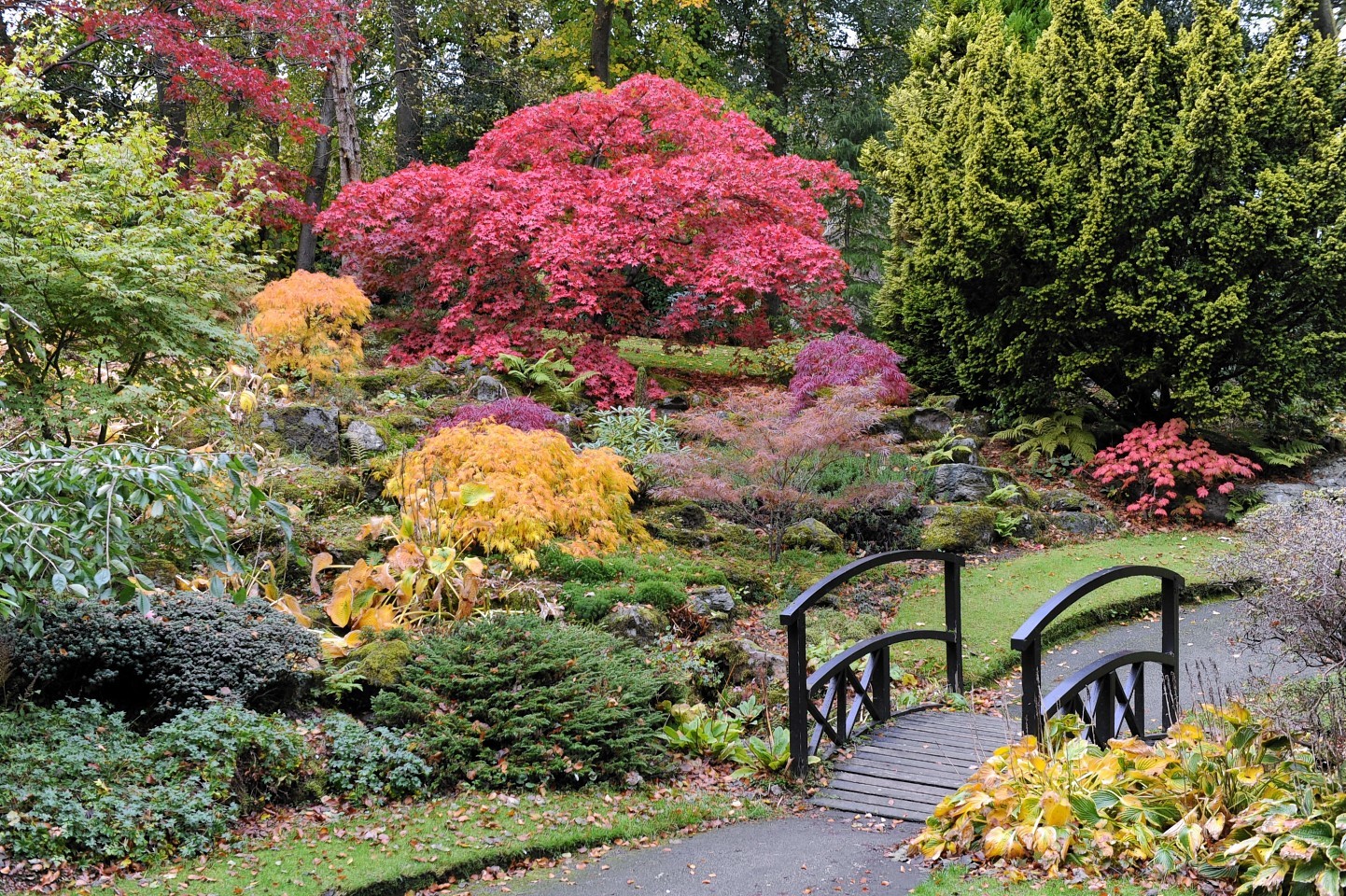 Aberdeen's parks and gardens bagged top prize at the Britain in Bloom