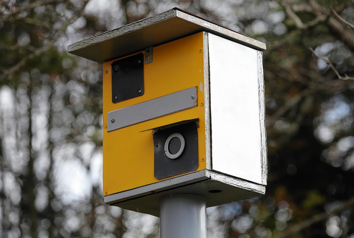 B&B owner's bird box looks like a speedcam