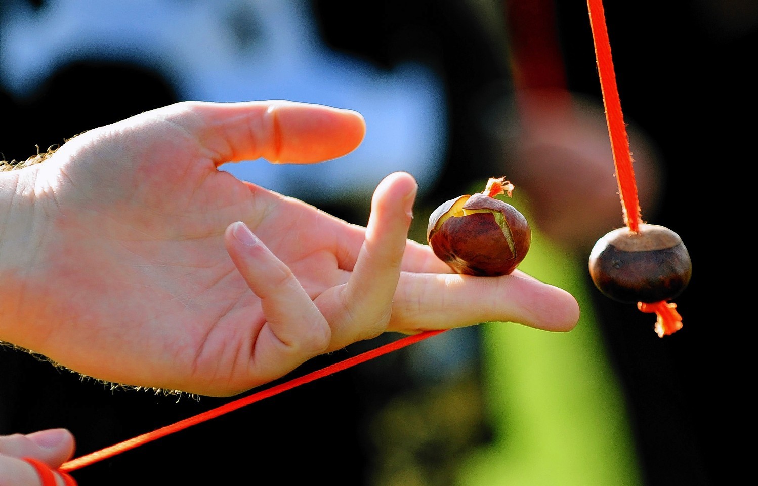 Playing conkers 