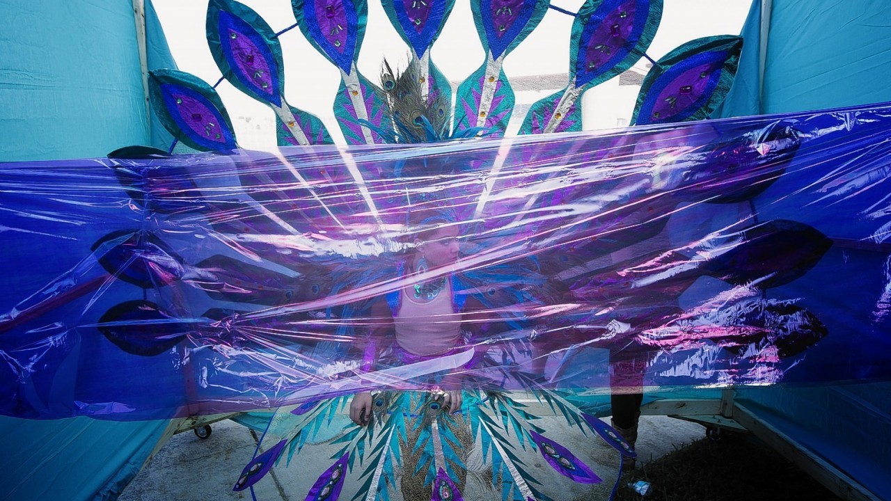 Miya Marcao, dressed as a peacock, waits to break out of cellophane at The Miami Broward Junior Carnival parade, Sunday, Oct. 5, 2014, in Lauderhill, Florida