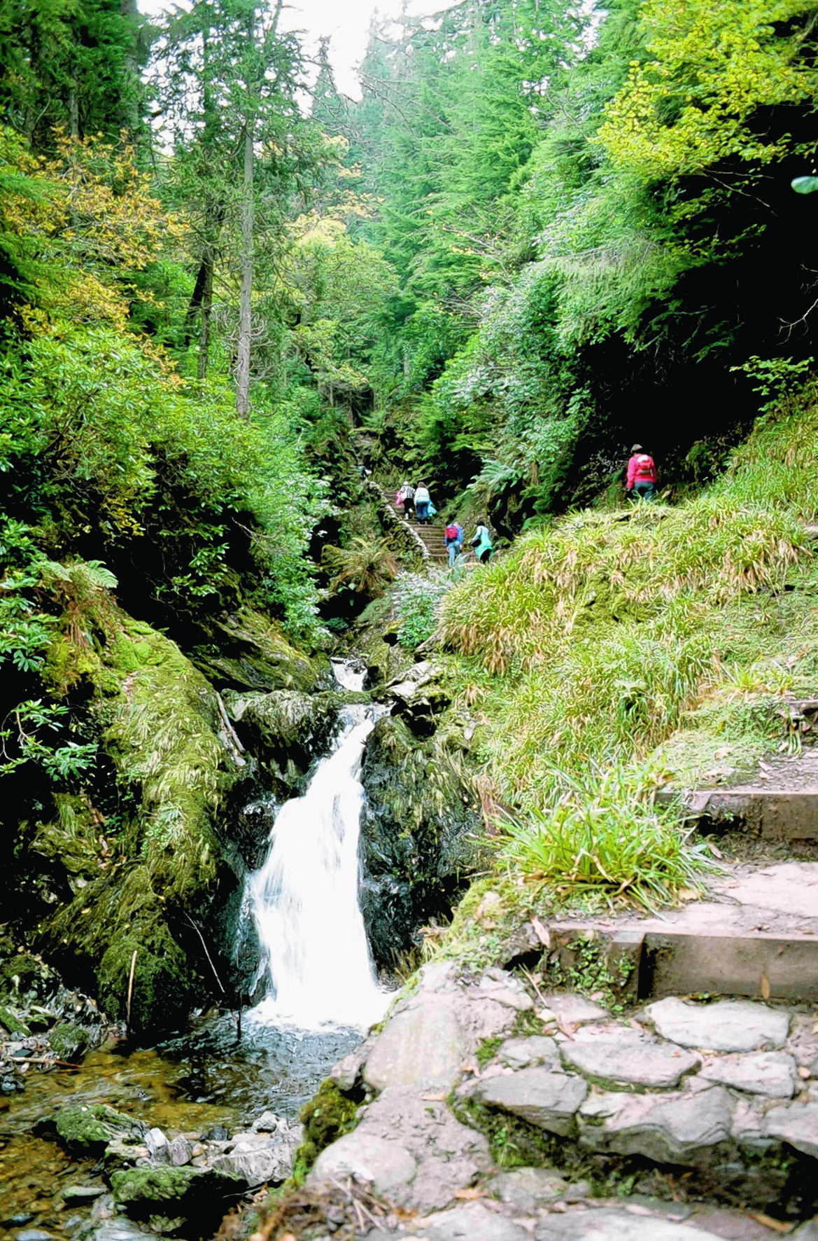 Puck's Fairy Glen