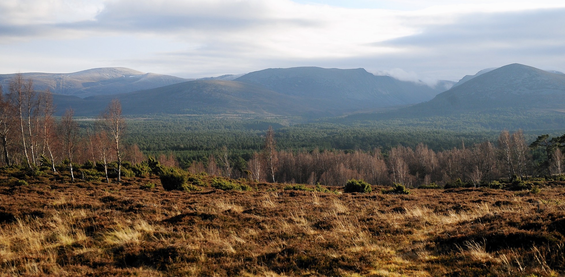 The climber died after a fall in the Cairngorms