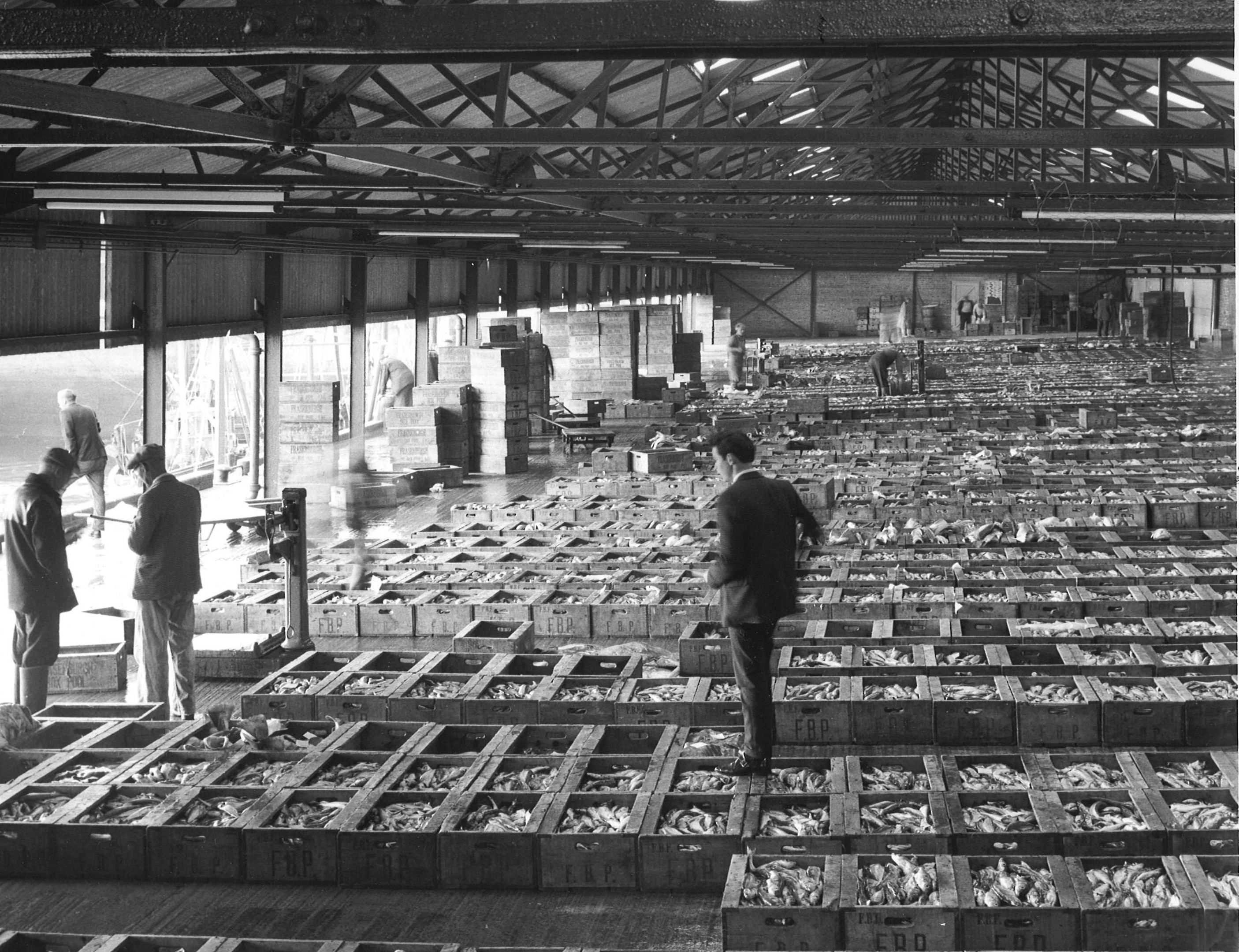 Fraserburgh fishmarket 5