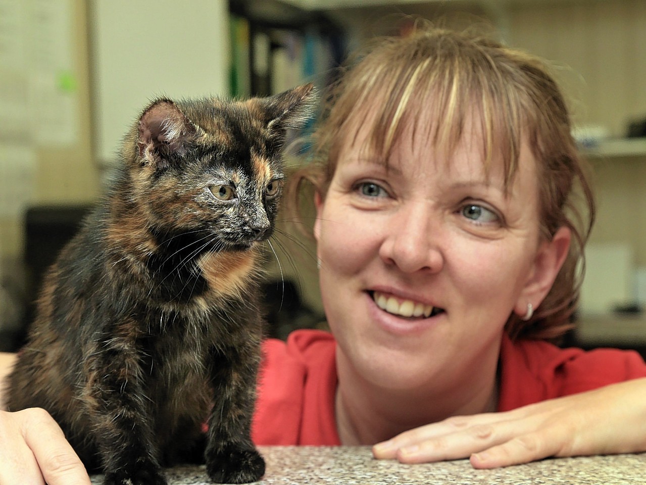 Harry the Tortoiseshell cat