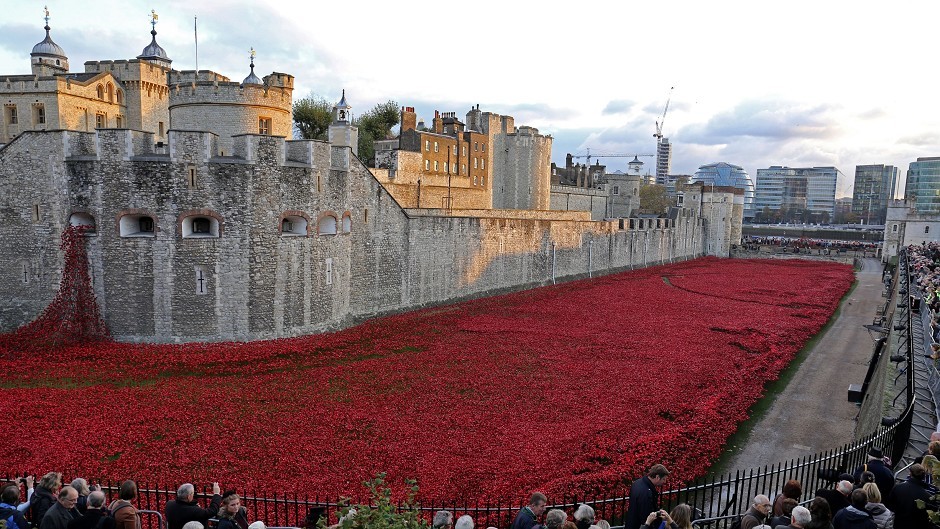 The best parts of the Tower of London poppy