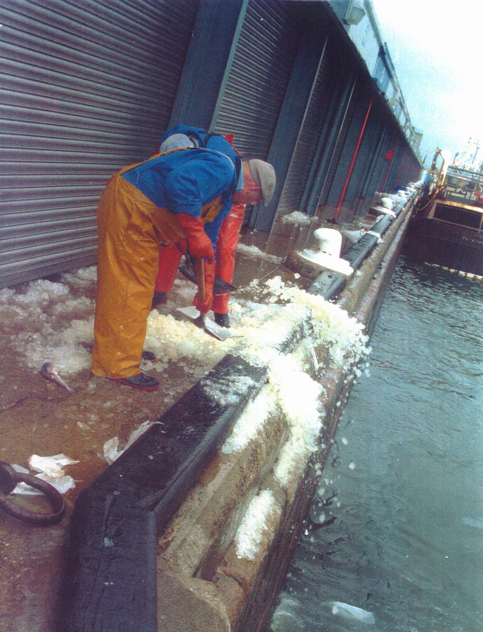 peterhead fishmarket 7