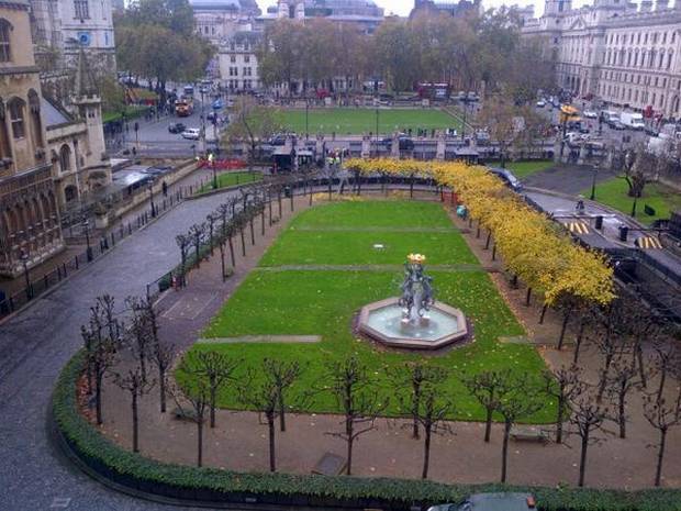 Westminster trees