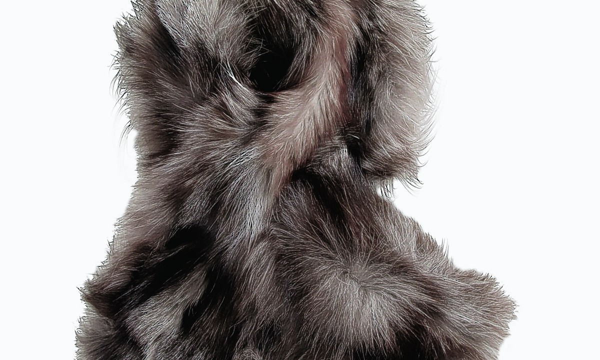 A beautiful selection of
faux fur scarves at various
prices is available at
Catwalkers of Ellon –
phone 01358 720341