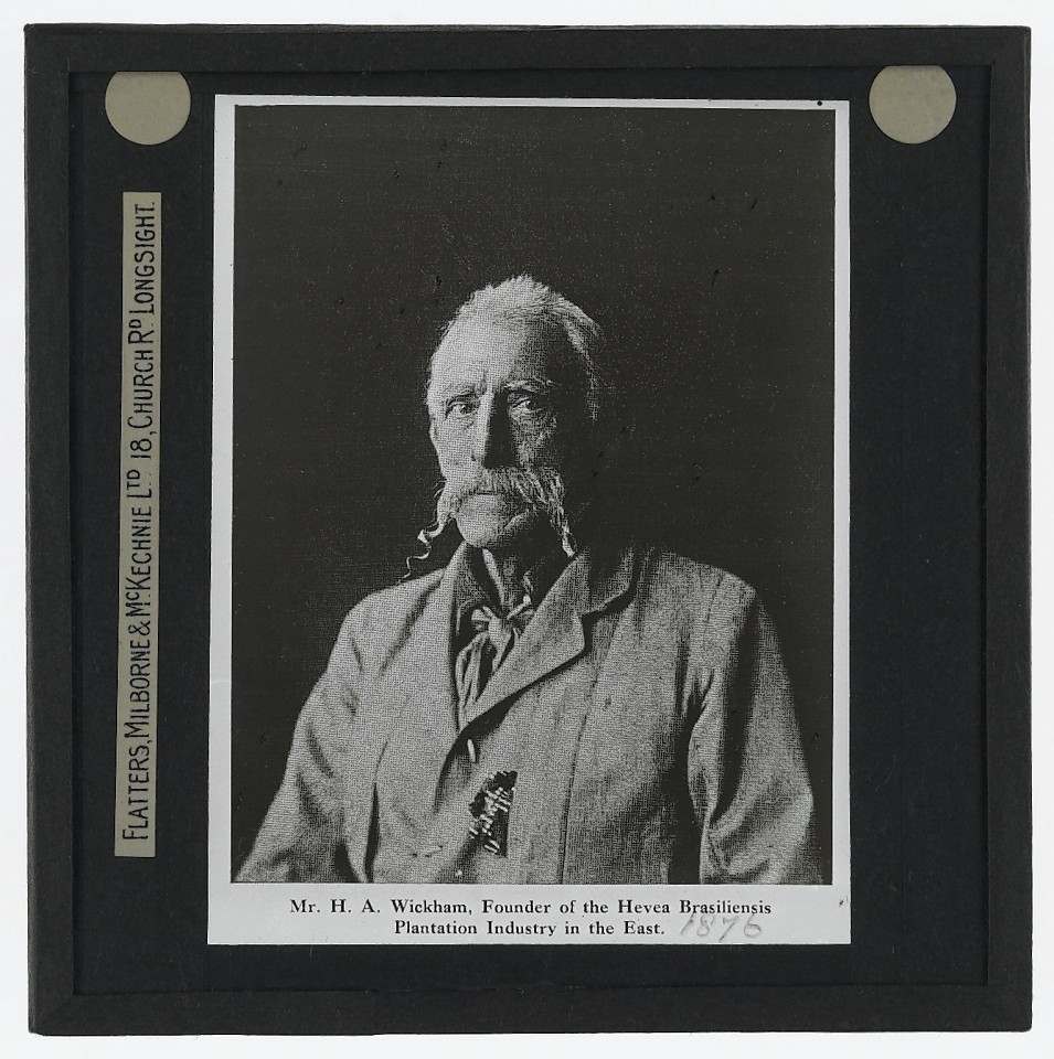 Mr. H. A. Wickham, Founder of the Hevea Brasiliensis Plantation Industry in the East. Photographic portrait of Henry Alexander Wickham, a British explorer and Founder of the Hevea Brasiliensis [rubber] Plantation Industry in the East. 