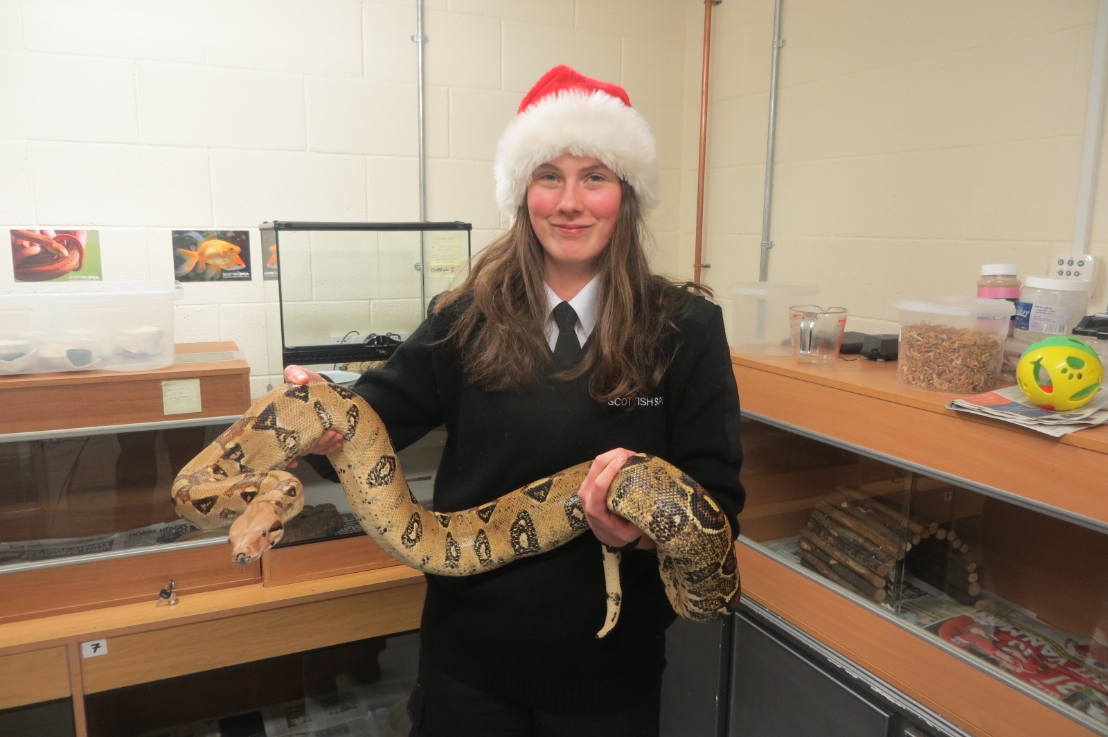 Care assistant Charlotte Muir with Marshall the red tailed boa
