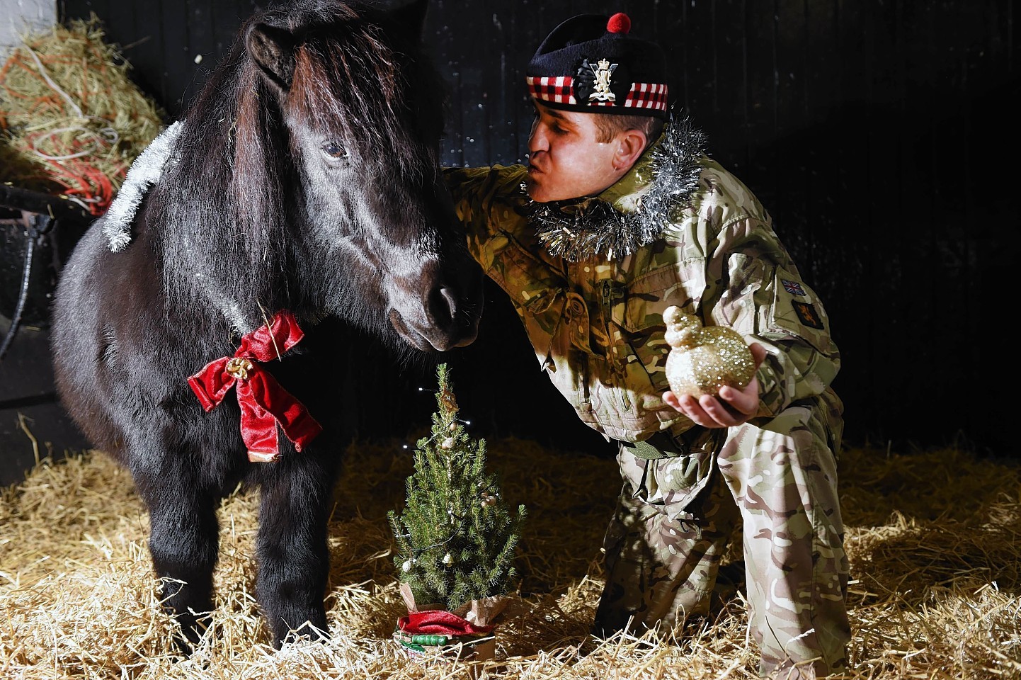 Private Colin Fotheringham and Cruachan IV enjoying the festive season in the pony at Redford Barracks, Edinburgh. 