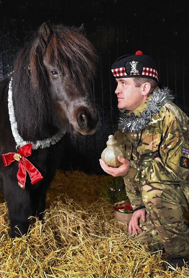 Private Colin Fotheringham and Cruachan IV enjoying the festive season in the pony at Redford Barracks, Edinburgh. 