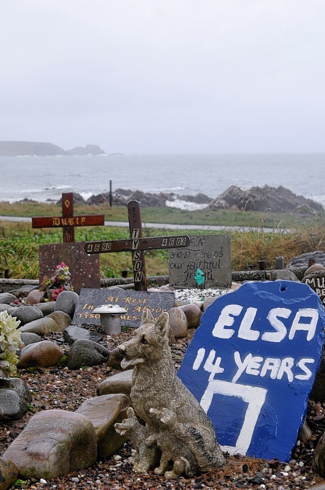 Cullen pet cemetery