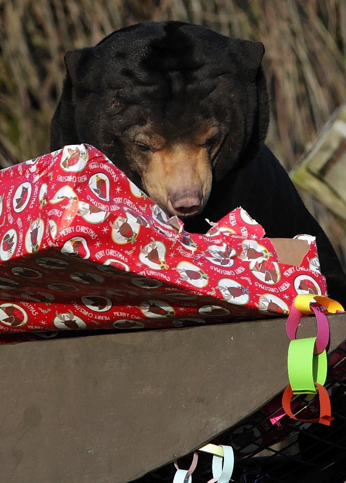 Santa popped in to visit the animals