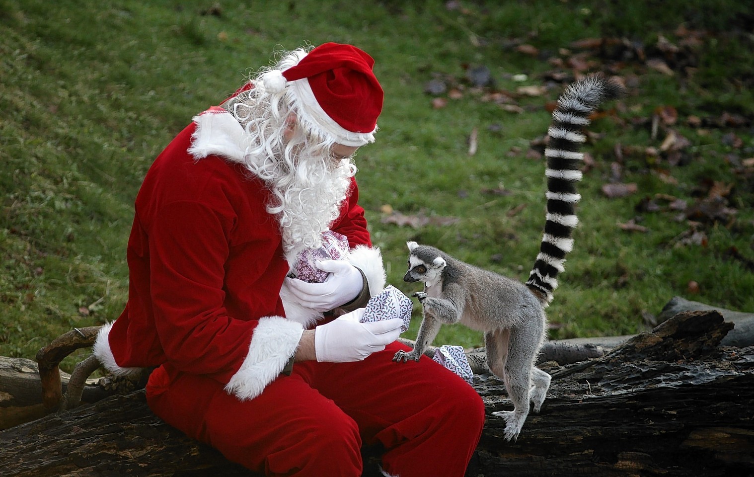 Santa popped in to visit the animals