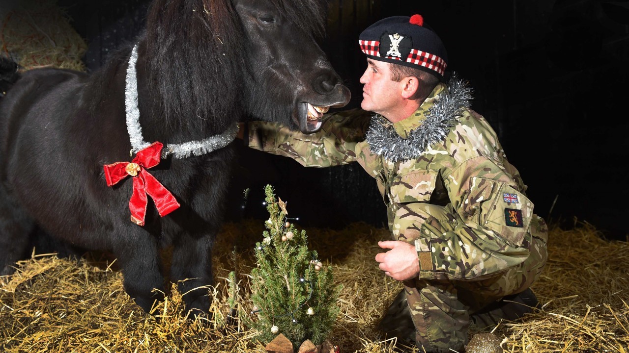 Private Colin Fotheringham and Cruachan IV enjoying the festive season in the pony at Redford Barracks, Edinburgh.