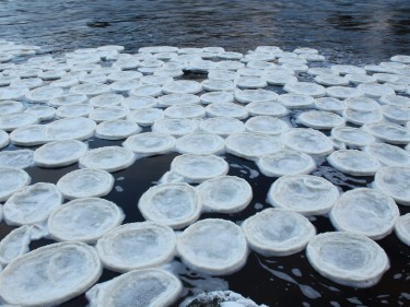 Ice pancakes at the Lummels Pool at Birse, near Aboyne 