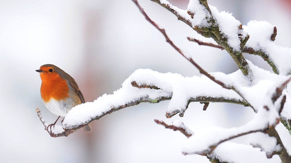 A weather warning for snow is in place on Christmas Eve