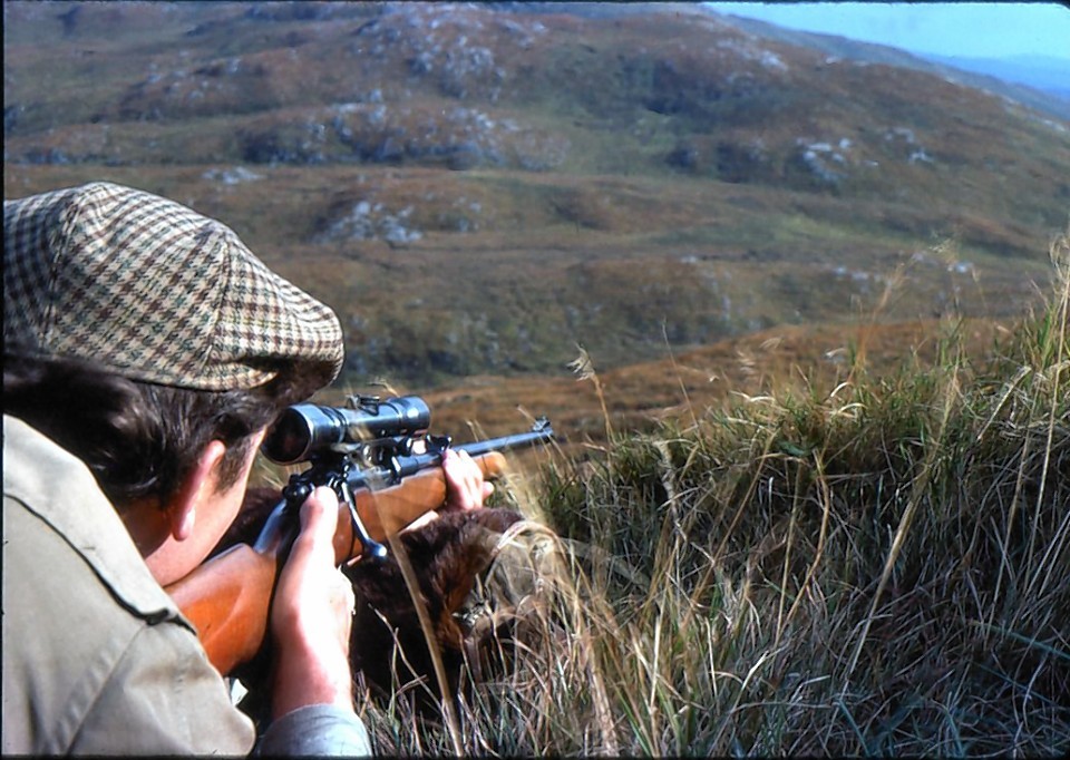 Commercial deer shooting will be available over the next two years on the Isle of Rum