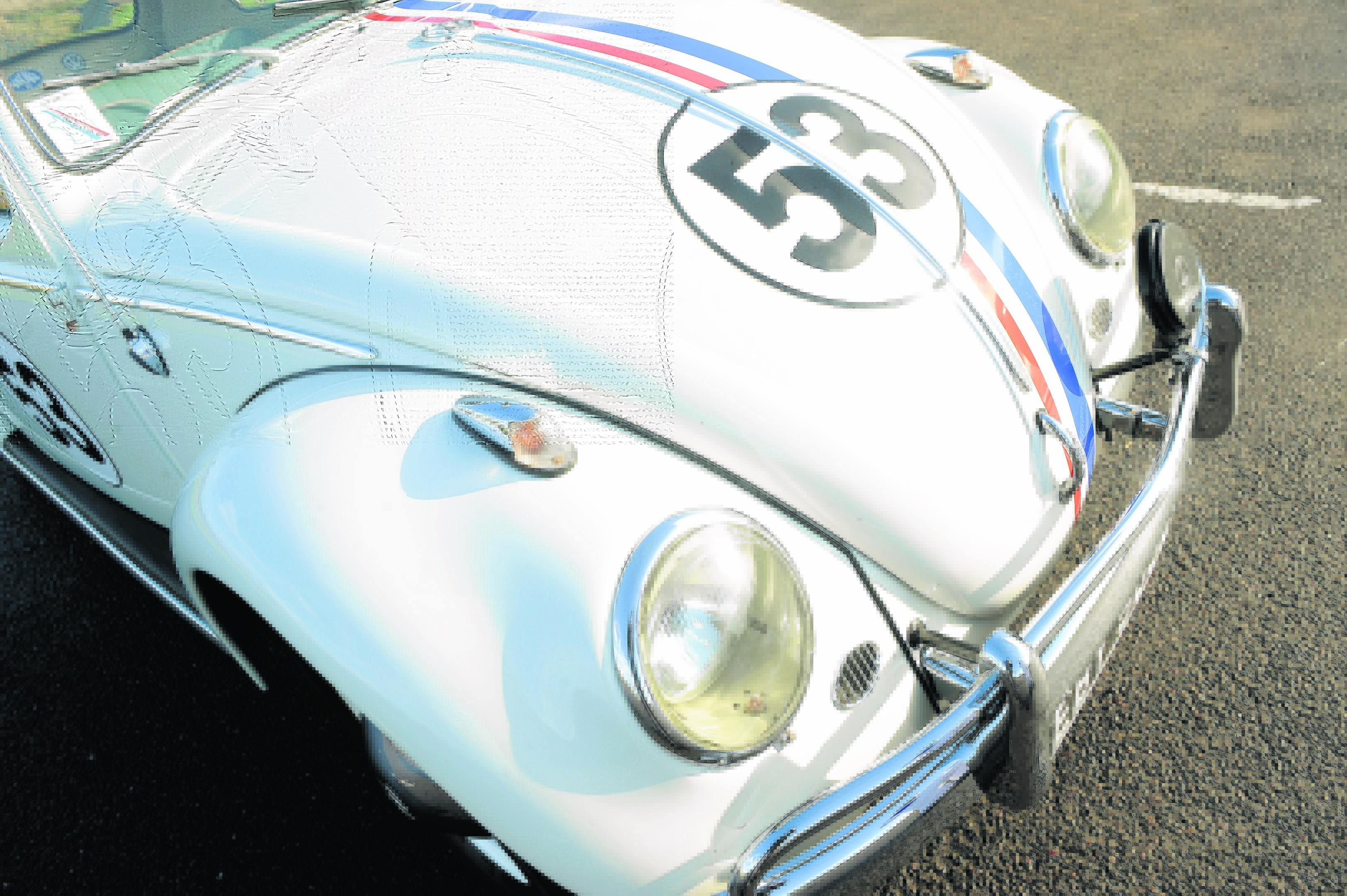 yc-Herbie13