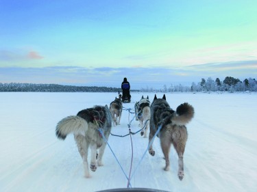 TRAVEL Lapland 09135673035