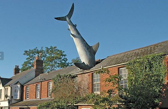 The Shark House